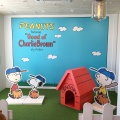 実際訪問したユーザーが直接撮影して投稿した新港カフェPEANUTS DINER 横浜の写真