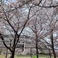 実際訪問したユーザーが直接撮影して投稿した御崎町公園御崎公園の写真