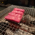 シャトーブリアン - 実際訪問したユーザーが直接撮影して投稿した福島焼肉なか田 別邸の写真のメニュー情報