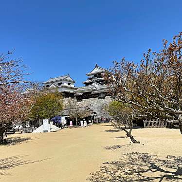 実際訪問したユーザーが直接撮影して投稿した丸之内庭園松山城二之丸史跡庭園の写真