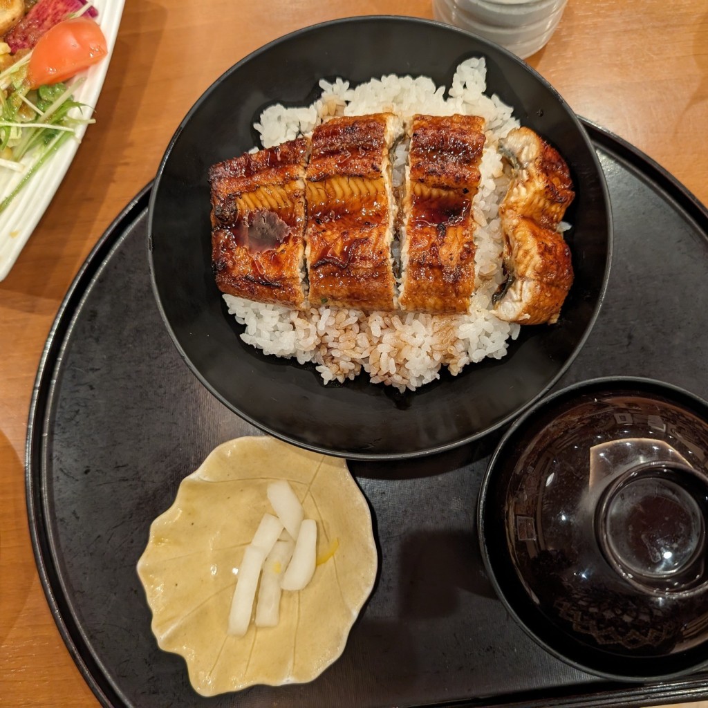 ユーザーが投稿したうなぎひつまぶし和膳の写真 - 実際訪問したユーザーが直接撮影して投稿した益見町和食 / 日本料理和食麺処サガミ 瑞浪中央店の写真