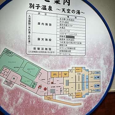 実際訪問したユーザーが直接撮影して投稿した立川町道の駅マイントピア別子 別子温泉~天空の湯~の写真