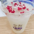 実際訪問したユーザーが直接撮影して投稿した角田町ジュースバー発酵 CALPIS PARLORの写真