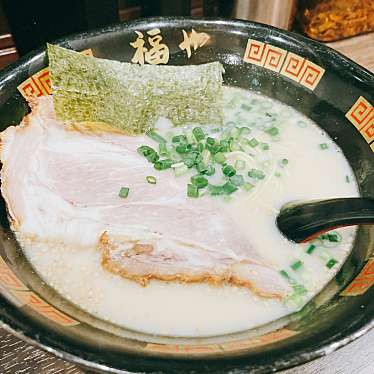 実際訪問したユーザーが直接撮影して投稿した根岸ラーメン / つけ麺博多ラーメン 福や 鶯谷店の写真