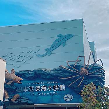 沼津港深海水族館 シーラカンス・ミュージアムのundefinedに実際訪問訪問したユーザーunknownさんが新しく投稿した新着口コミの写真