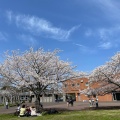 実際訪問したユーザーが直接撮影して投稿した佐野公園佐野植物公園の写真