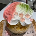 実際訪問したユーザーが直接撮影して投稿した代々木かき氷Tea Sweets Lab. CONTENART 南新宿店の写真
