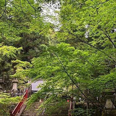 実際訪問したユーザーが直接撮影して投稿した桜井神社等彌神社の写真