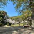 実際訪問したユーザーが直接撮影して投稿した立願寺公園蛇ヶ谷公園の写真