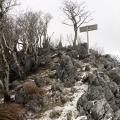 実際訪問したユーザーが直接撮影して投稿した山 / 峠藤原岳の写真