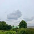 実際訪問したユーザーが直接撮影して投稿した亀戸神社亀戸天神社の写真