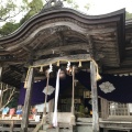 実際訪問したユーザーが直接撮影して投稿した神埼町的神社仁比山神社の写真