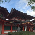 実際訪問したユーザーが直接撮影して投稿した院内神社千葉神社の写真