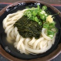 ながもかけうどん - 実際訪問したユーザーが直接撮影して投稿した元山町うどんうどん屋 まつはまの写真のメニュー情報