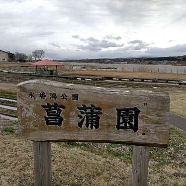 実際訪問したユーザーが直接撮影して投稿した符津町自然名所木場潟公園 花菖蒲園の写真