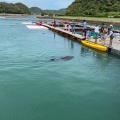 実際訪問したユーザーが直接撮影して投稿した勝本町東触水族館 / アクアリウム壱岐イルカパーク&リゾートの写真