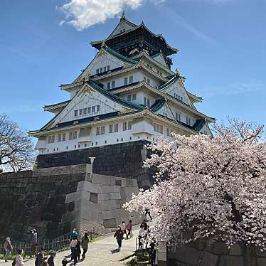 実際訪問したユーザーが直接撮影して投稿した大阪城歴史 / 遺跡刻印石広場の写真