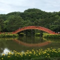 実際訪問したユーザーが直接撮影して投稿した金沢町寺金沢山 称名寺の写真