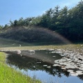 実際訪問したユーザーが直接撮影して投稿した夏尾町湖沼 / 池御池の写真