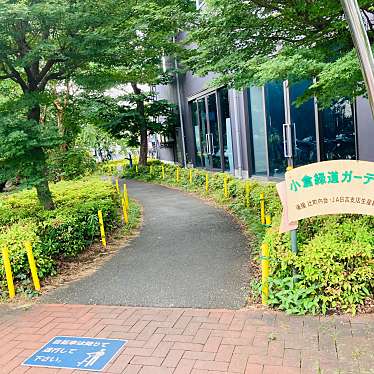 実際訪問したユーザーが直接撮影して投稿した小倉散策路小倉緑道の写真