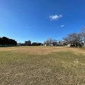 実際訪問したユーザーが直接撮影して投稿した栄町公園深町公園の写真