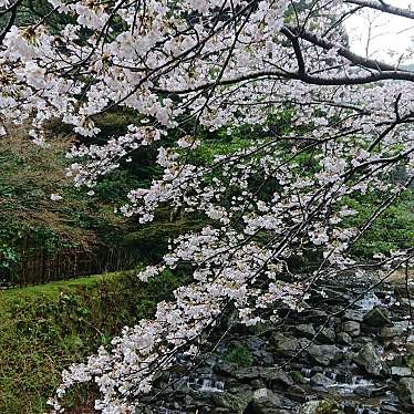 実際訪問したユーザーが直接撮影して投稿した猪野神社伊野天照皇太神宮の写真