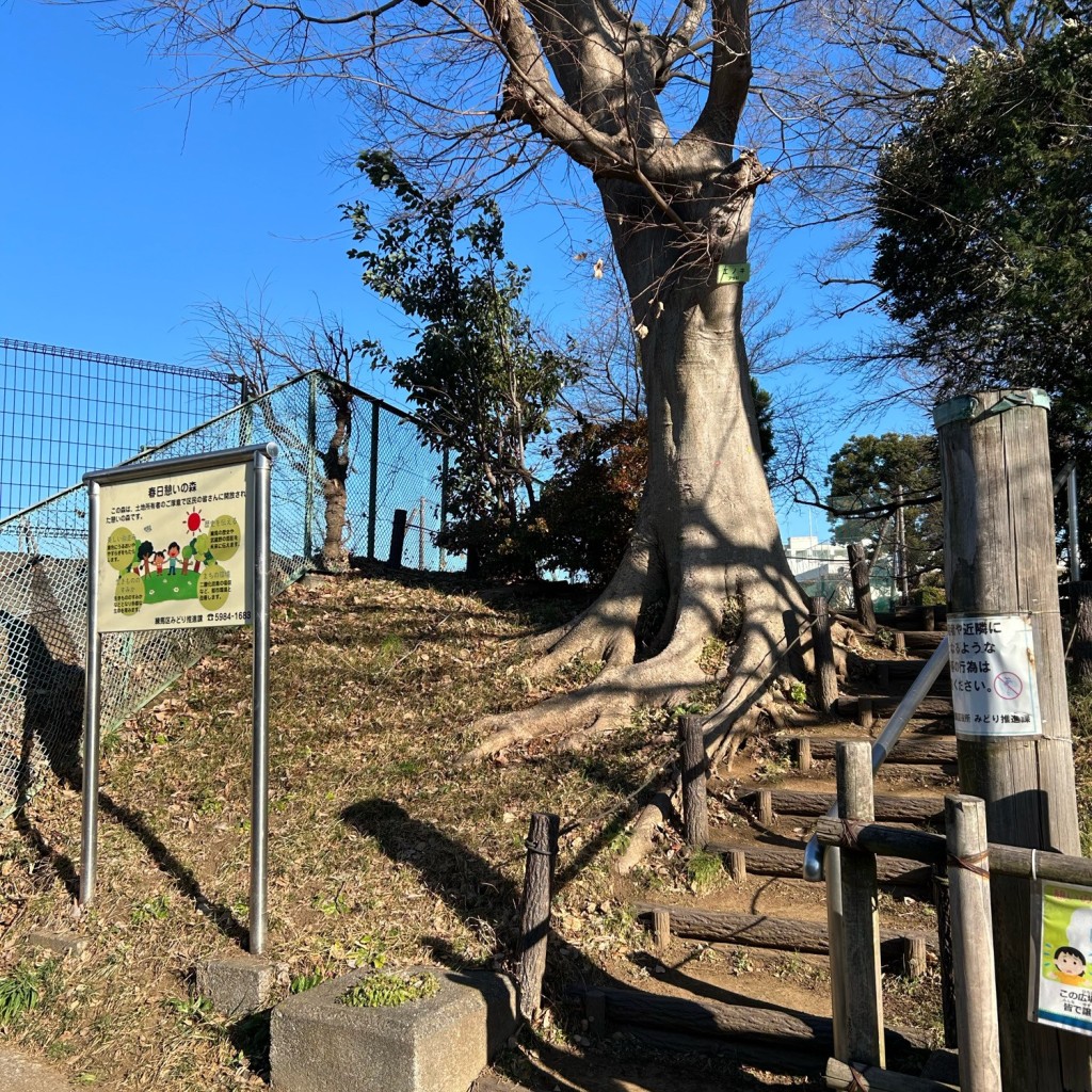 実際訪問したユーザーが直接撮影して投稿した春日町公園春日憩いの森の写真