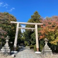 実際訪問したユーザーが直接撮影して投稿した太秦森ケ東町神社木島坐天照御魂神社の写真