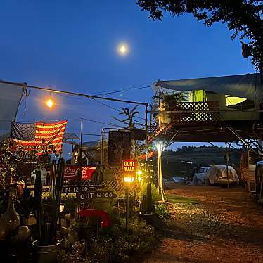 実際訪問したユーザーが直接撮影して投稿した大工オートキャンプ場パインウッド オートキャンプ場の写真