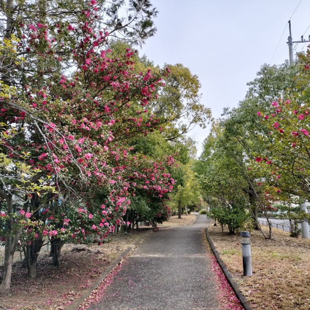 実際訪問したユーザーが直接撮影して投稿した鳩ヶ丘公園はとっこ公園の写真