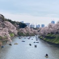 実際訪問したユーザーが直接撮影して投稿した千代田庭園皇居東御苑の写真