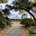 実際訪問したユーザーが直接撮影して投稿した宮本寺東光寺の写真