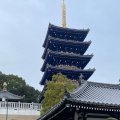 実際訪問したユーザーが直接撮影して投稿した中山寺寺中山寺の写真