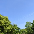 実際訪問したユーザーが直接撮影して投稿した百舌鳥夕雲町公園大仙公園の写真