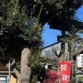 実際訪問したユーザーが直接撮影して投稿した菊名神社菊名神社の写真