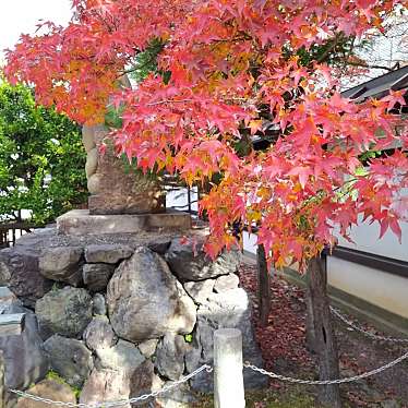 実際訪問したユーザーが直接撮影して投稿した百々町寺宝鏡寺の写真