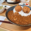 実際訪問したユーザーが直接撮影して投稿した野路カレーカレー屋 めいさんの写真