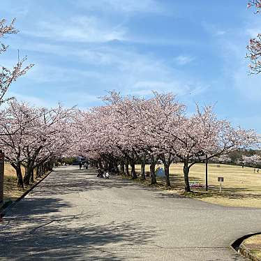 実際訪問したユーザーが直接撮影して投稿した山田町公園加賀市中央公園の写真