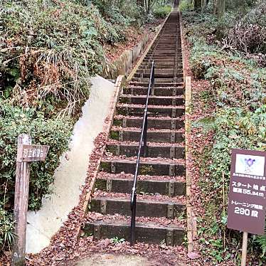 実際訪問したユーザーが直接撮影して投稿した村田町公園朝日山公園の写真