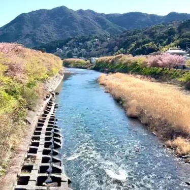 実際訪問したユーザーが直接撮影して投稿した河川河津川の写真