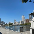 実際訪問したユーザーが直接撮影して投稿した天満橋京町橋天満橋の写真
