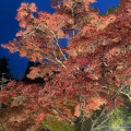 実際訪問したユーザーが直接撮影して投稿した岩屋町公園岩屋堂公園の写真