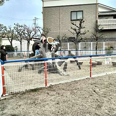 実際訪問したユーザーが直接撮影して投稿した三ツ島公園下三ツ島公園の写真