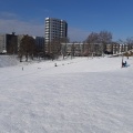 実際訪問したユーザーが直接撮影して投稿した厚別南公園馬場公園の写真