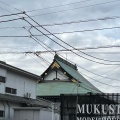 実際訪問したユーザーが直接撮影して投稿した大成町寺光福寺の写真