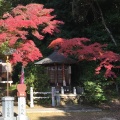 実際訪問したユーザーが直接撮影して投稿した継鹿尾寺寂光院の写真