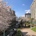 実際訪問したユーザーが直接撮影して投稿した東駒形公園大横川親水公園の写真