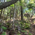 実際訪問したユーザーが直接撮影して投稿した木本町山 / 峠松本峠の写真