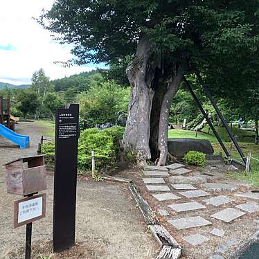 実際訪問したユーザーが直接撮影して投稿した山中公園しあわせの木の写真