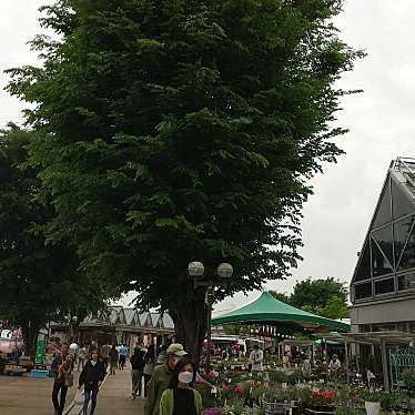 道の駅うつのみや ろまんちっく村のundefinedに実際訪問訪問したユーザーunknownさんが新しく投稿した新着口コミの写真